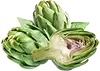 아티초크