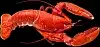 랍스터