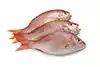 cod fillets, cut into 4 servings (get thick pieces from the center cuts rather than tail-end pieces) or, 4 red snapper fillets, 8 ounces each