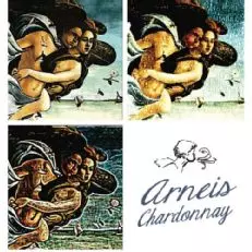 카사 엠마 비날파르코 키안티 클라시코 리세르바