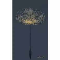 드리스콜 와인 코 틸트 지인판델