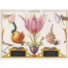 간부 돌 꽃 소비뇽 블랑