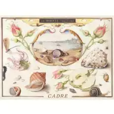 간부 바다 여왕 알바 리노