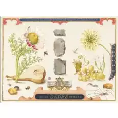 간부 밴드 오브 스톤즈 그루너 벨트라이너