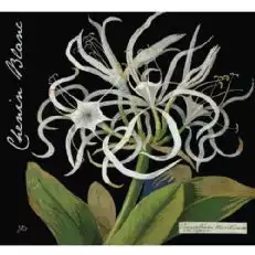 보타니카 와인스 메리 딜레이니 슈냉 블랑