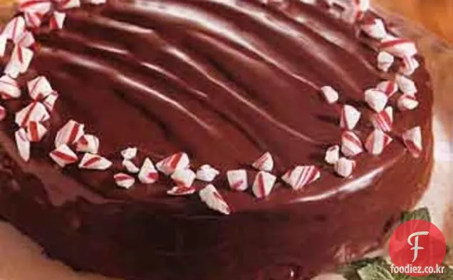 초콜렛 박하 충전물을 가진 3 배 초콜렛 케이크