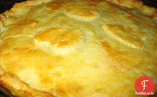 전기 프라이팬을위한 치킨 차우 마인