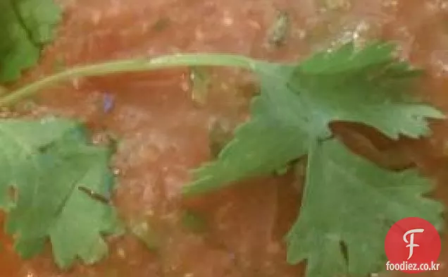 정원 토마토 살사