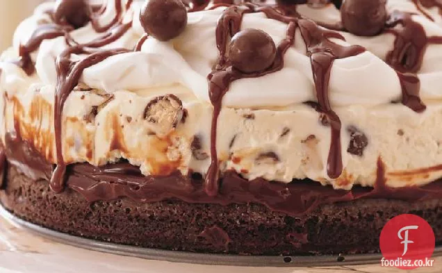 초콜릿 몰트 아이스크림 케이크