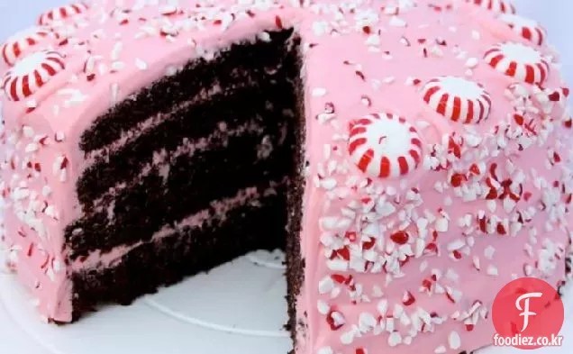 핑크 페퍼민트 크림 치즈 설탕을 입힌 초콜릿 퍼지 케이크