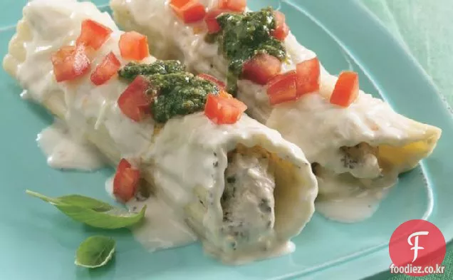 페스토-치킨 매니 코티