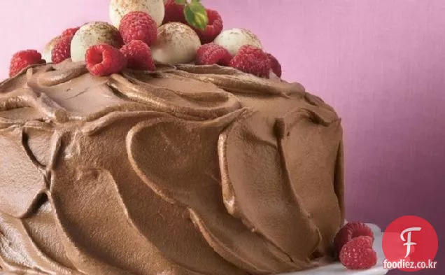 초콜릿 무스-라즈베리 케이크