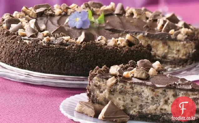 초콜릿 칩-토피 치즈 케이크