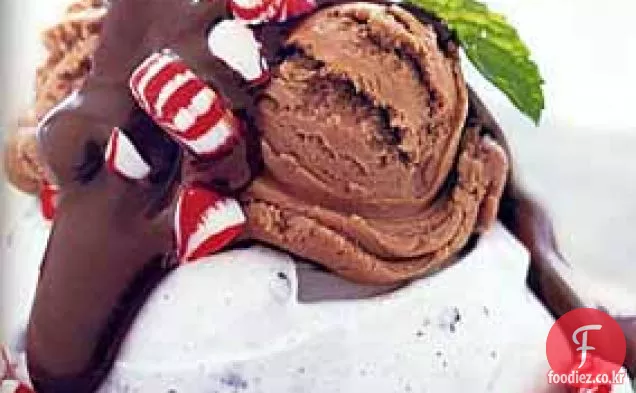 아이스크림,페퍼민트 캔디,초콜릿 민트 소스를 곁들인 초콜릿 칩 머랭