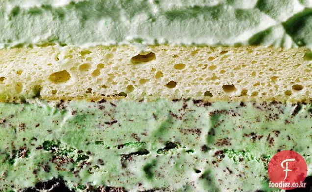 민트 칩 아이스크림 케이크
