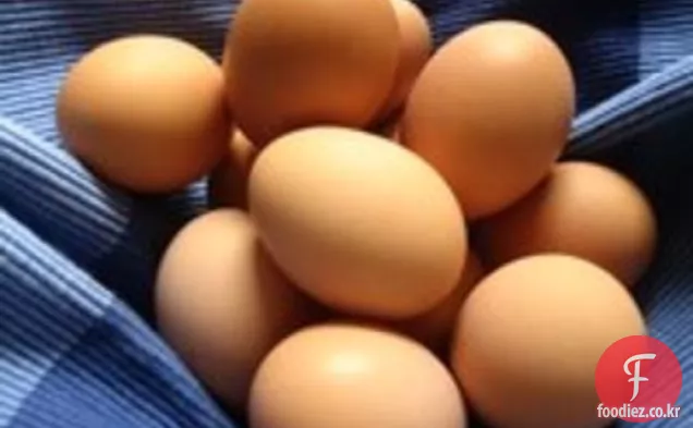 고기 라이트:계란 어떤 스타일 샤크 소카