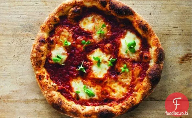 책을 요리하십시오:낸시 실버튼의 피자 반죽