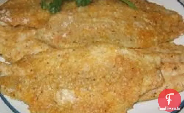 치즈 메기