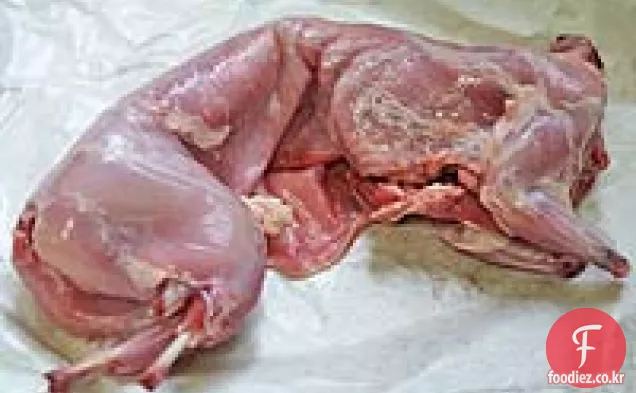 토끼 카치아토레