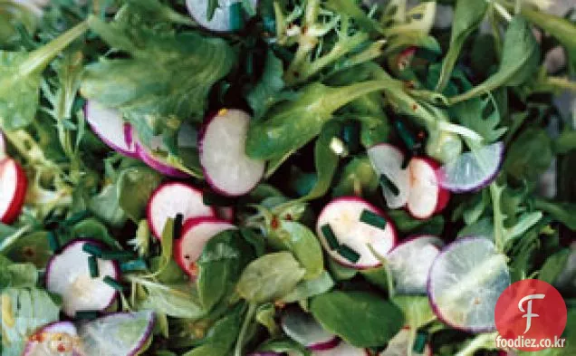 Mâche,Frisée,그리고 무 샐러드와 겨자 비네그레트