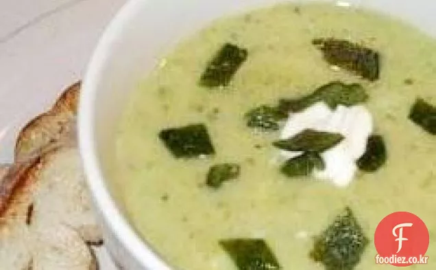 포블 라노 칠레 고추 수프