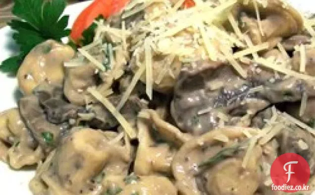 절대적으로 멋진 포토 벨로 버섯 토르 텔리 니