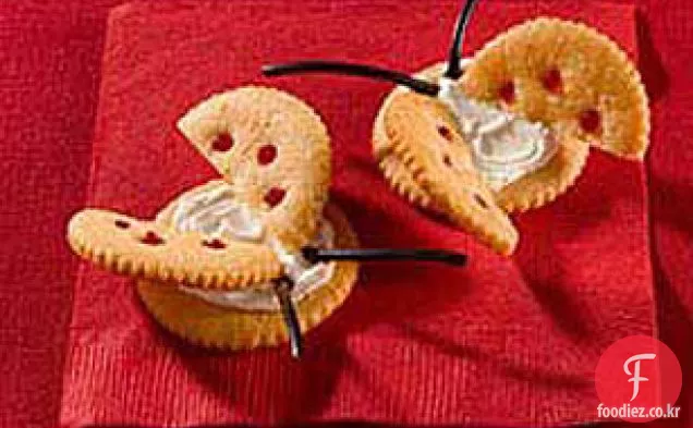 RITZÂ®무당벌레