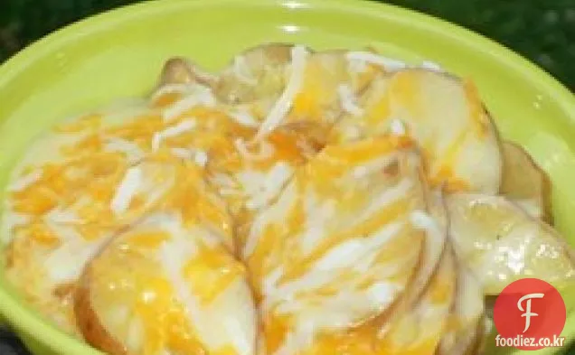 빠르고 쉬운 치즈 맛이 나는 빨간 감자 감자