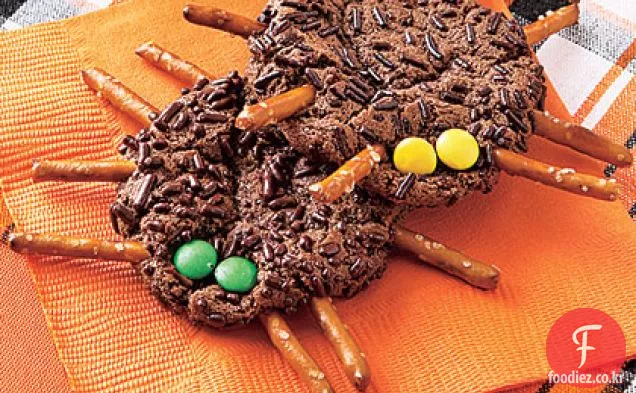 초콜릿 쿠키 거미