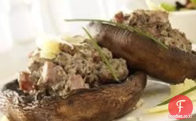 박제 포토 벨로 버섯
