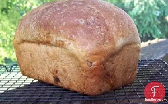 바질과 햇볕에 말린 토마토 빵