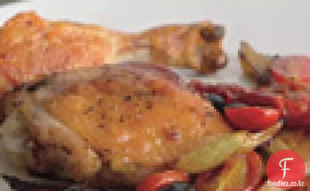 프로방스 닭고기와 토마토 볶