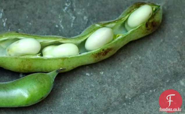 Fava 콩 퓨레