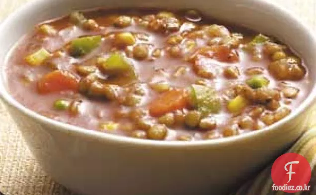 왕성한 렌즈 콩 수프—채식주의 자