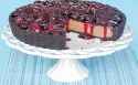 초콜릿 체리 타르트