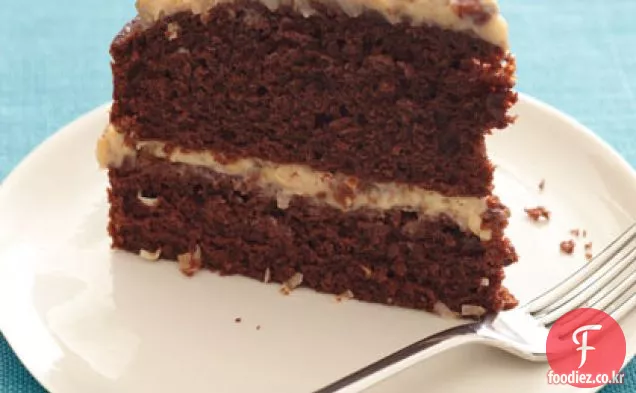 가벼운 독일 초콜릿 케이크