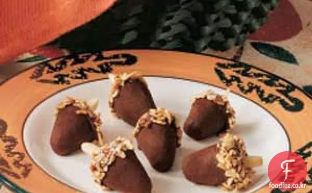 트러플 도토리