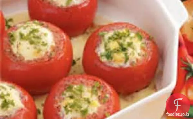옥수수 푸딩 박제 토마토