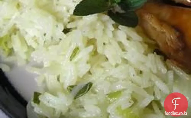 양파 쌀