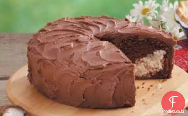 초콜릿 마카롱 케이크