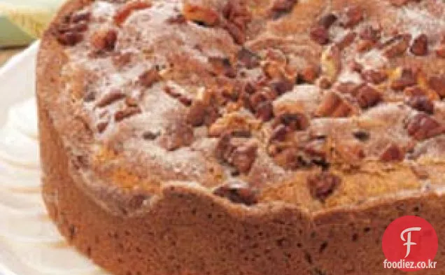 풍부한 초콜릿 칩 커피 케이크