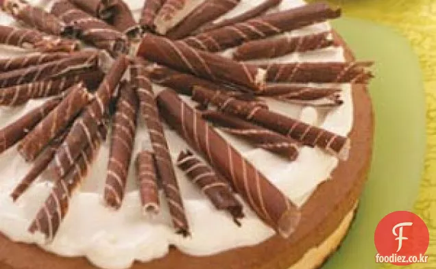 풍부한 초콜릿 무스 치즈 케이크