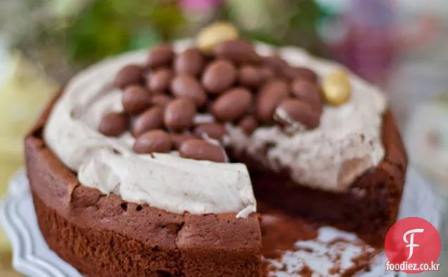 모카 초콜릿 분화구 케이크