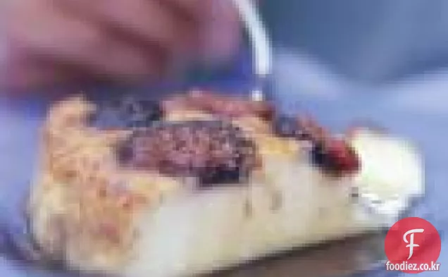 신선한 무화과 플랜