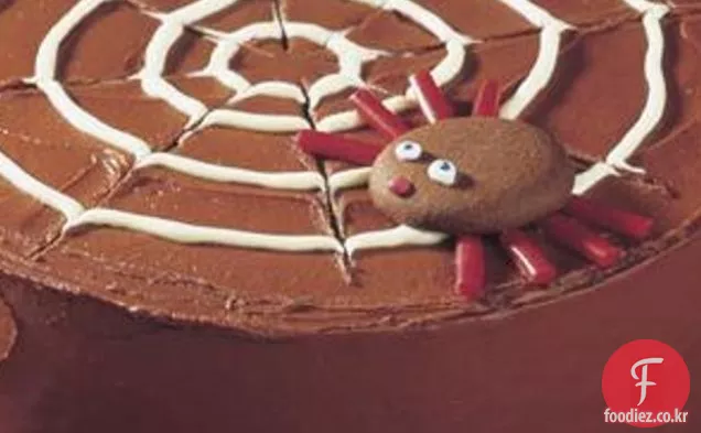 초콜릿 스파이더 웹 케이크