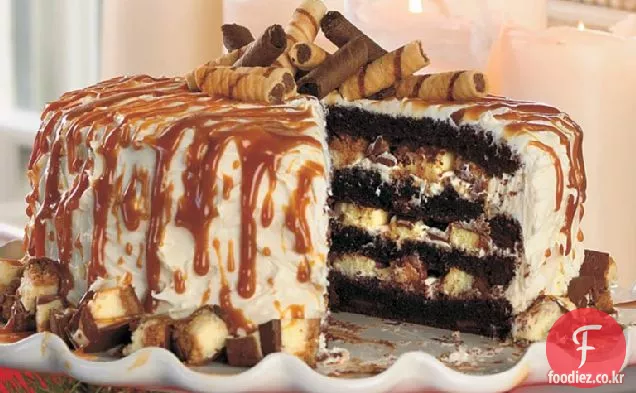 치즈 케이크-박제 다크 초콜릿 케이크