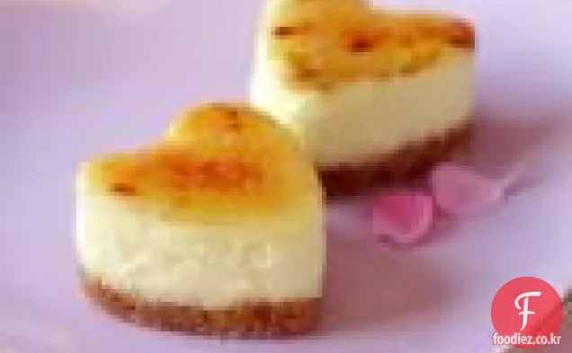 Brûléed Mini 치즈 케이크