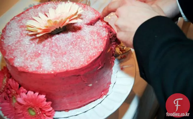 핫 핑크 라즈베리 케이크