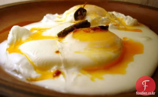 요구르트와 매운 세이지 버터를 곁들인 터키 데친 계란