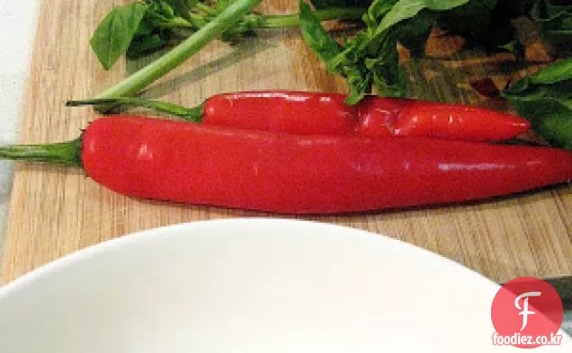 참치 리가 토니와 샤인